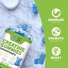 Creatine Gummies